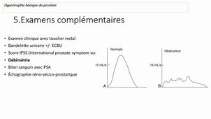 UE 2.8 UROLOGIE