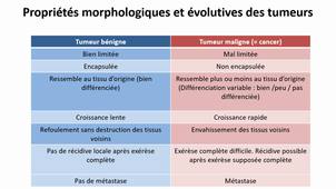 UE 2.9 Cancer définition et mode de développement 2023-2024