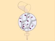 Affinity Chromatography Protein Seperation