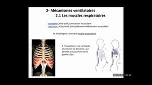 UE 2.2 S1 L'appareil respiratoire