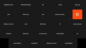 UE 6 Pharmacologie Pr Lamiae GRIMALDI (MDP = UE6GRIMALDI)