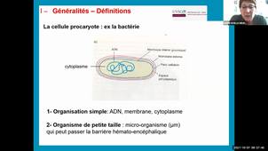 UE 2.1 S1 Les molécules du vivant (partie 3)