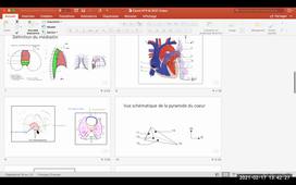 PACES-UE 5 - F.Peschaud