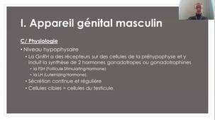 UE 2.2 Appareil sexuel reproduction 2020-2021 - 2 Physio Masculine