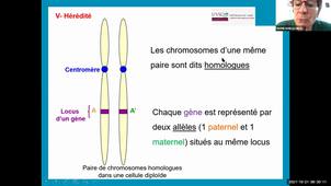 UE 2.1 S1 Le génôme - La division cellulaire - L'hérédité