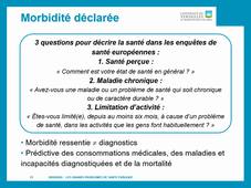 UE 1.2 - Grands problème de santé de publique