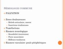 S1 2.4 Sémiologie du membre inférieur Part 1. PIOGER 24.25