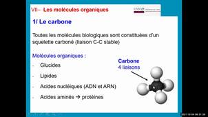 UE 2.1 S1 Les molécules du vivant (partie 2)