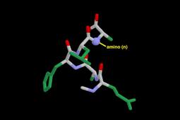 Alpha Helix