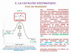 CM2 BI600 enzymologie