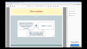 UE 2.5 S3 Maladie bactérienne  sepsis, bactérienne, endocardite