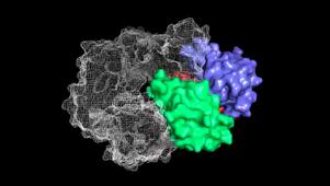 Protein Docking