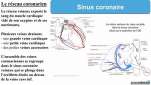 UE 2.2 S1 : L'appareil cardio-vasculaire