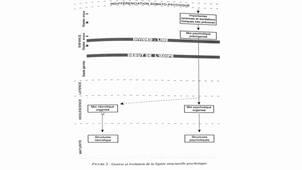 5-Concepts De Base En Psychologie Analytique