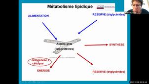 UE 2.1 S1 Le métabolisme énergétique