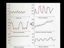 UE 2.10 - Réponse inflammatoire - système immunitaire. M. LAFORGE