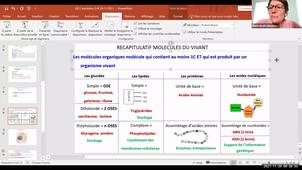 UE 2.1 S1 Questions Réponses