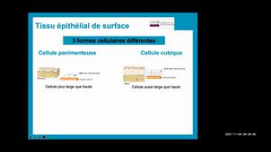 UE 2.1 S1 Les tissus (partie 1)