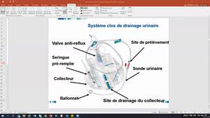 UE 2.10 S1 Prevention des infections associées aux soins
