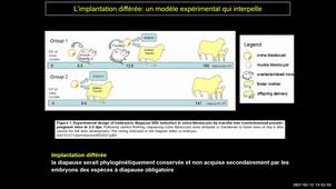 Cours O Sandra UE REPRO