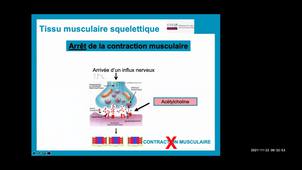 UE 2.1 S1 Les tissus (partie 3)