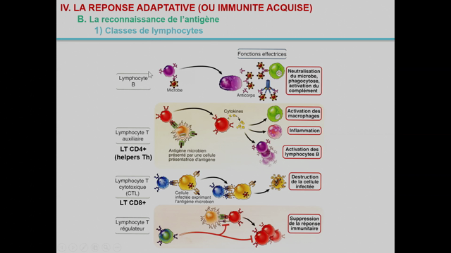 POD - UVSQ - Lsbi338 - Immunologie (2e Partie)